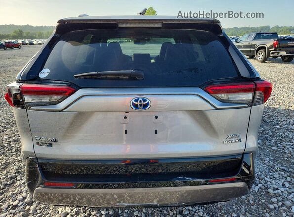 2T3EWRFV6KW019453 2019 TOYOTA RAV4 Silver Հետևի տեսք