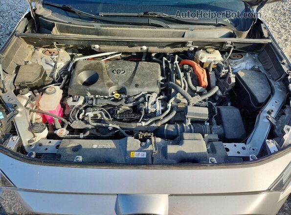 2T3EWRFV6KW019453 2019 TOYOTA RAV4 Silver Սալոնի հետևի տեսք