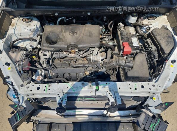 2T3F1RFV1LW103085 2020 TOYOTA RAV4 White Engine compartment view