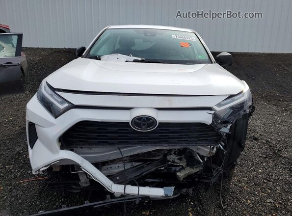 2T3F1RFV1PC326203 2023 TOYOTA RAV4 White Widok z przodu