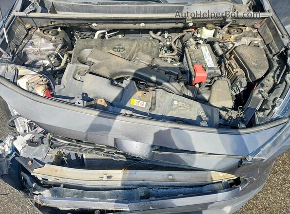 2T3F1RFV2LC099498 2020 TOYOTA RAV4 Gray Вид задньої частини салону