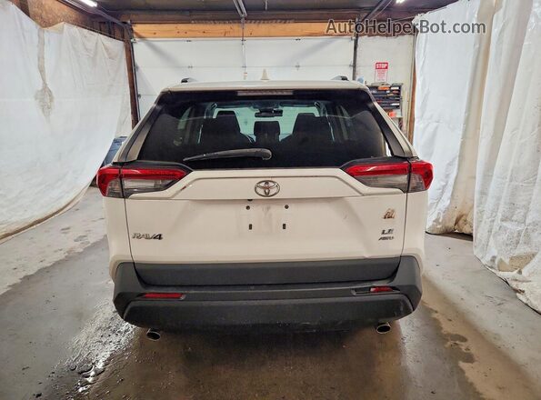 2T3F1RFV2LW092159 2020 TOYOTA RAV4 Белый Вид сзади