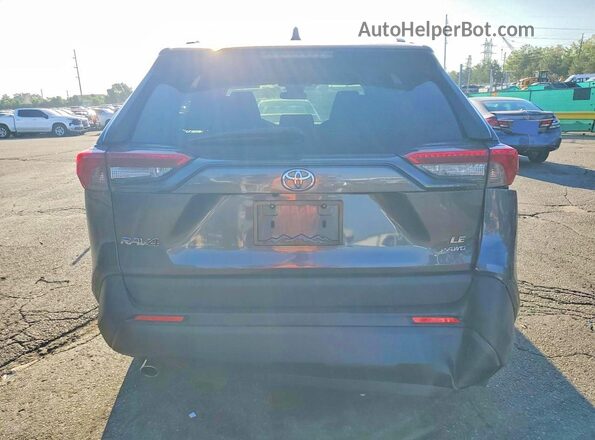 2T3F1RFV4KW010589 2019 TOYOTA RAV4 Серый Вид сзади