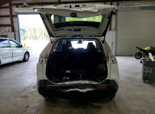 2T3F1RFV4SC504159 2025 TOYOTA RAV4 White Вид ззаду