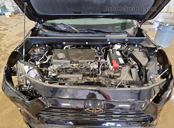 2T3F1RFV6PW346767 2023 TOYOTA RAV4 Black Vista del compartimento del motor
