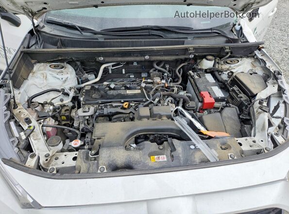 2T3F1RFV8RW438353 2024 TOYOTA RAV4 Белый Вид задней части салона