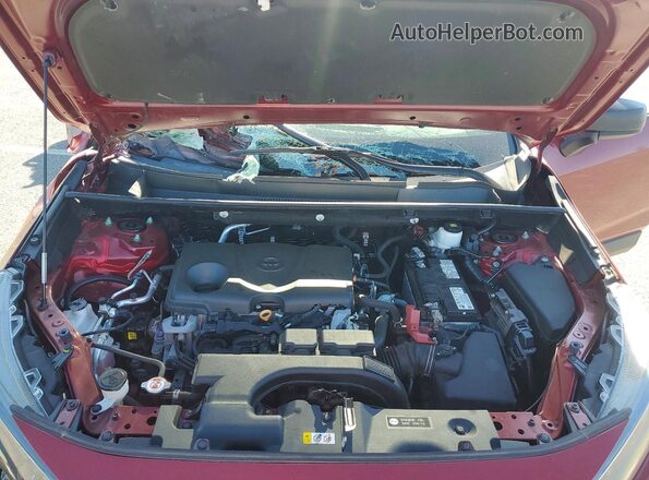 2T3F1RFV9MW198805 2021 TOYOTA RAV4 Red Vista del compartimento del motor
