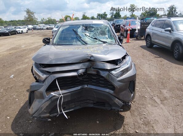2T3F1RFV9PC361314 2023 TOYOTA RAV4 Gray Սալոնի հետևի տեսք