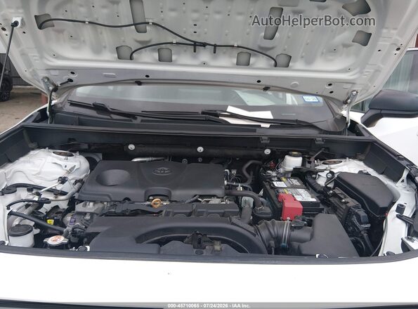 2T3F1RFVXKC041248 2019 TOYOTA RAV4 White Widok z tyłu