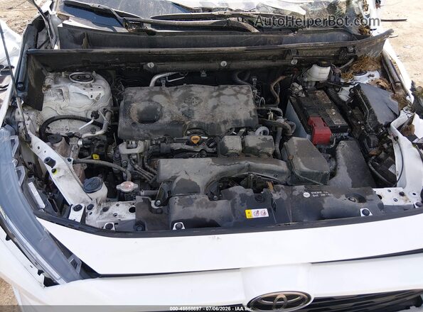 2T3F1RFVXPW362826 2023 TOYOTA RAV4 White უკანა ხედი