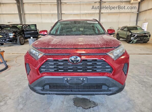 2T3G1RFV0MW183761 2021 TOYOTA RAV4 Бордовый Вид спереди
