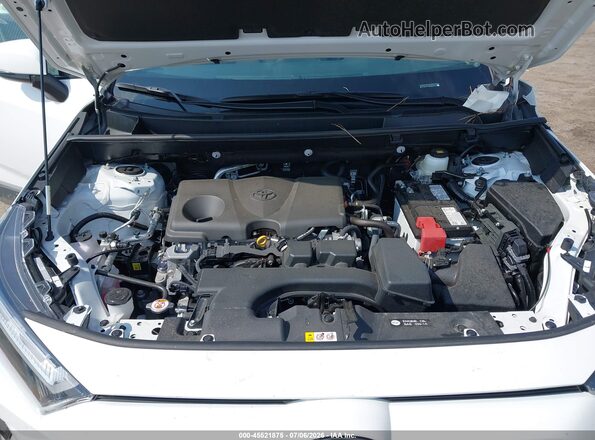 2T3G1RFV0SW609249 2025 TOYOTA RAV4 White Вид ззаду