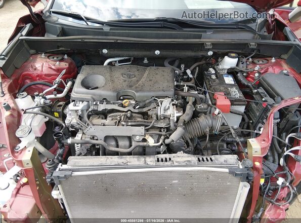 2T3G1RFV1KC013147 2019 TOYOTA RAV4 Maroon Вид ззаду