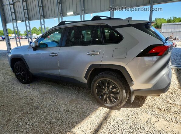 2T3G1RFV2KW075641 2019 TOYOTA RAV Silver Задня ліва чверть
