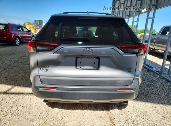 2T3G1RFV2KW075641 2019 TOYOTA RAV Silver Вид ззаду