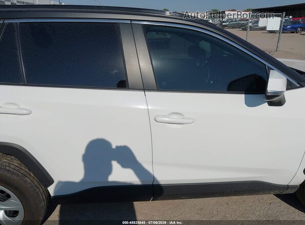 2T3G1RFV2LW116691 2020 TOYOTA RAV4 Белый Вид задней части салона