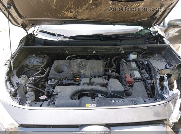 2T3G1RFV2PC336789 2023 TOYOTA RAV4 Gray უკანა ხედი