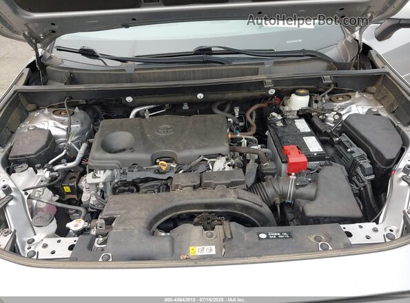 2T3G1RFV4LC080360 2020 TOYOTA RAV4 Silver Vista trasera