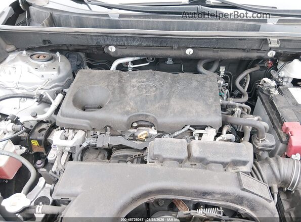 2T3G1RFV6KW001199 2019 TOYOTA RAV4 Silver Widok z tyłu