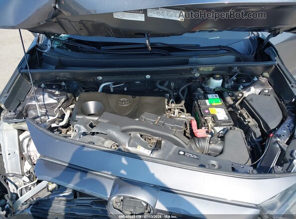 2T3G1RFV6KW007567 2019 TOYOTA RAV4 Серый Вид сзади