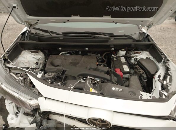 2T3G1RFV6PW341170 2023 TOYOTA RAV4 White Vista trasera