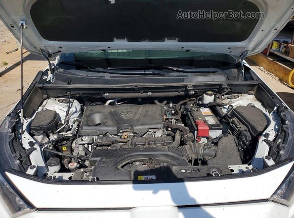 2T3G1RFV7LW093604 2020 TOYOTA RAV4 White Սալոնի հետևի տեսք