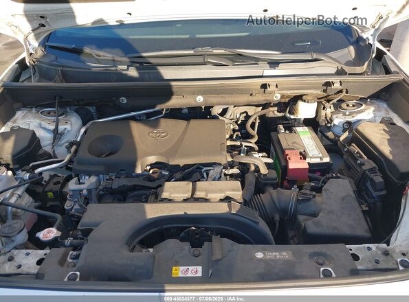 2T3H1RFV1LC041634 2020 TOYOTA RAV4 White Вид ззаду