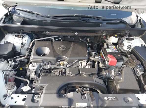 2T3H1RFV2KW040151 2019 TOYOTA RAV4 White Вид ззаду