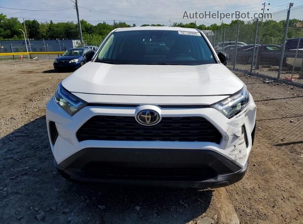 2T3H1RFV2PW285118 2023 TOYOTA RAV4 White Widok z przodu