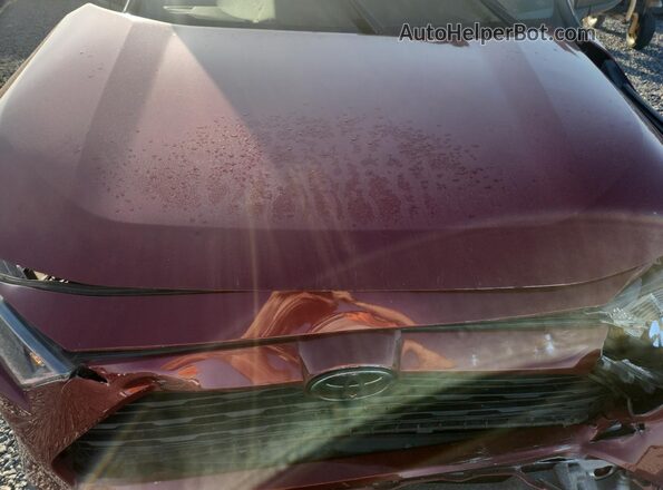 2T3H1RFV4KC010313 2019 TOYOTA RAV4 Burgundy Vista del compartimento del motor