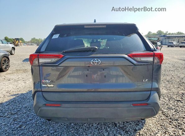2T3H1RFV4LC056497 2020 TOYOTA RAV4 Gray Вид ззаду