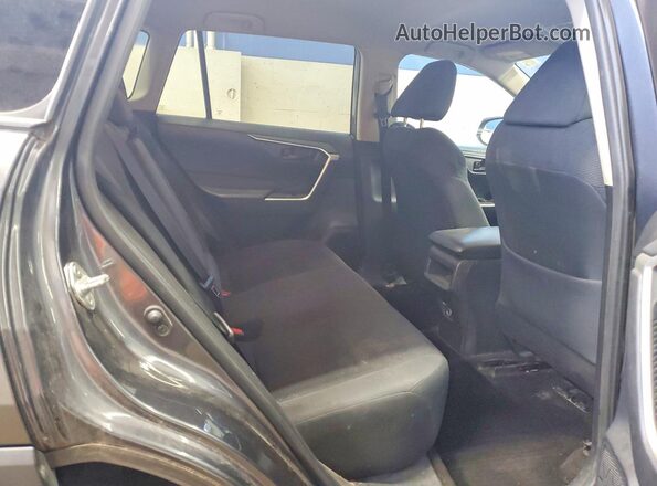 2T3H1RFV5LC048229 2020 TOYOTA RAV4 Серый Вид задних сидений