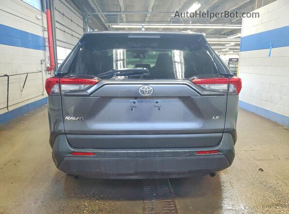 2T3H1RFV5LC048229 2020 TOYOTA RAV4 Серый Вид сзади