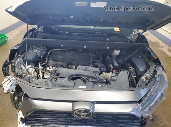 2T3H1RFV5LC048229 2020 TOYOTA RAV4 Серый Вид задней части салона