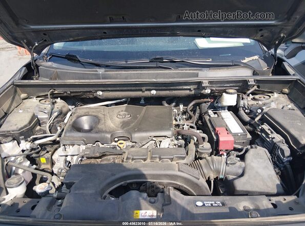 2T3H1RFV6LW083330 2020 TOYOTA RAV4 Gray Вид ззаду
