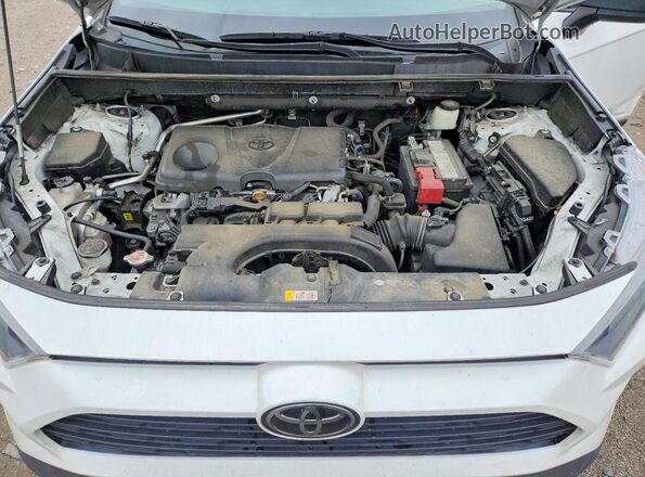 2T3H1RFV8KW025301 2019 TOYOTA RAV4 White Widok komory silnika