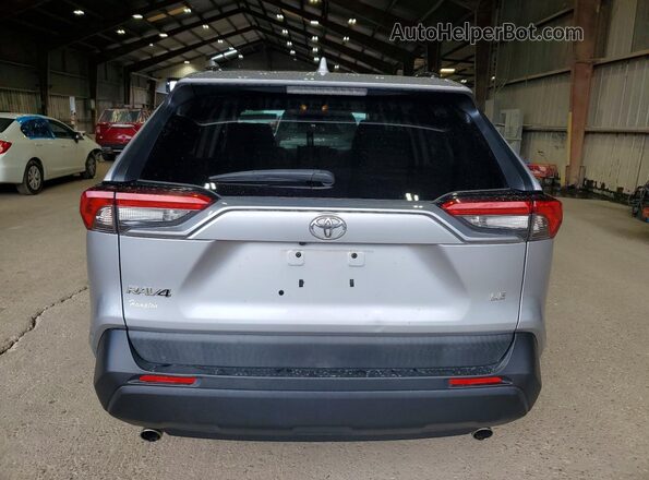 2T3H1RFV8KW053972 2019 TOYOTA RAV4 Silver Rear view