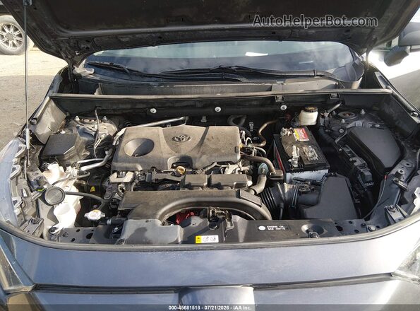 2T3H1RFV8LW101018 2020 TOYOTA RAV4 Gray Вид ззаду