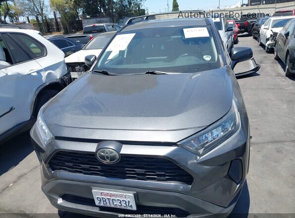 2T3H1RFV9KW041667 2019 TOYOTA RAV4 Gray Vista interior trasera