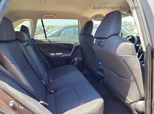 2T3H1RFVXLW101781 2020 TOYOTA RAV4 Серый Вид задней части салона