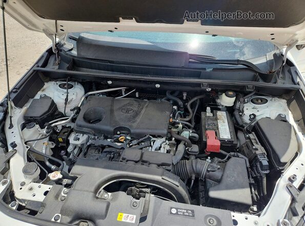 2T3H1RFVXLW102039 2020 TOYOTA RAV4 White Вид задньої частини салону