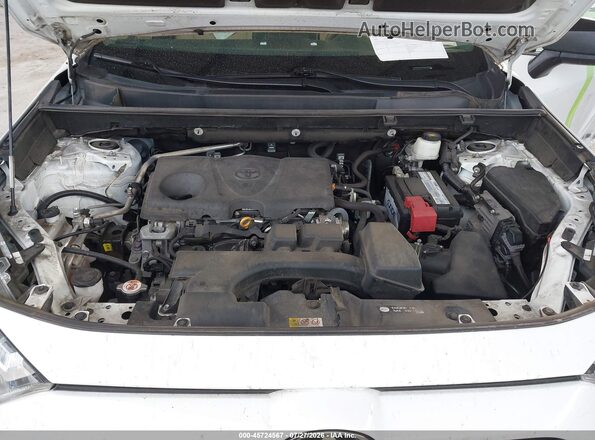 2T3H1RFVXPC231518 2023 TOYOTA RAV4 Белый Вид сзади
