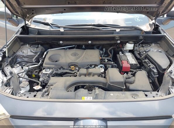 2T3H1RFVXPW269992 2023 TOYOTA RAV4 Gray Widok z tyłu