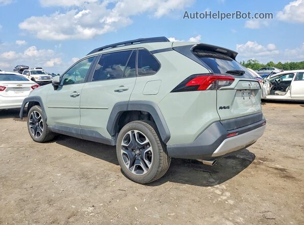 2T3J1RFV0KW041171 2019 TOYOTA RAV4 Green Tył lewy
