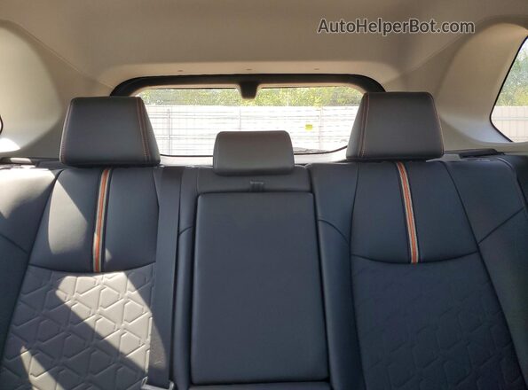 2T3J1RFV2KW006504 2019 TOYOTA RAV4 Gray უკანა სავარძლების ხედი