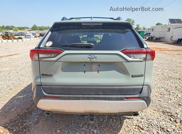 2T3J1RFV2KW006504 2019 TOYOTA RAV4 Gray უკანა ხედი
