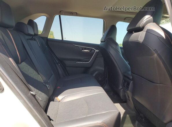 2T3J1RFV2KW006504 2019 TOYOTA RAV4 Gray უკანა სალონის ხედი