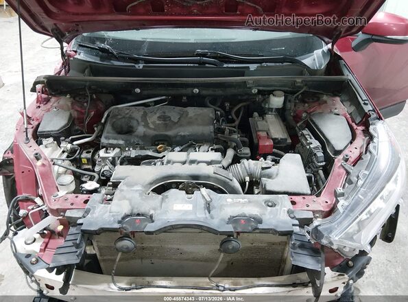 2T3J1RFV4KW034546 2019 TOYOTA RAV4 Red Widok z tyłu