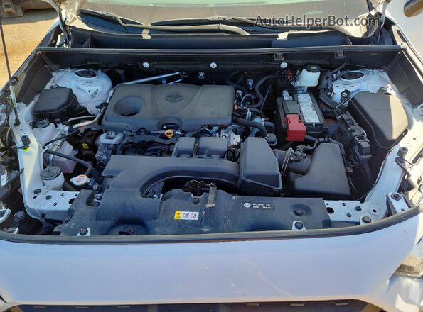 2T3J1RFV7RW465456 2024 TOYOTA RAV4 Белый Вид задней части салона