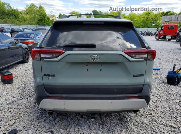 2T3J1RFV9KC044183 2019 TOYOTA RAV4 Зеленый Вид сзади